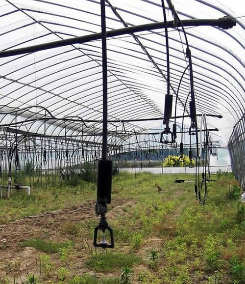 大棚吊管喷灌应用案例
